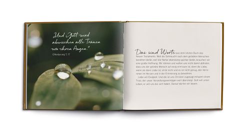 Über den Abschied hinaus - Lichtblicke in Zeiten der Trauer -  Anlass: Trost Autor: Antje S. Naegeli - Hardcover 1. Auflage (17 x 14 x 0,4 cm)