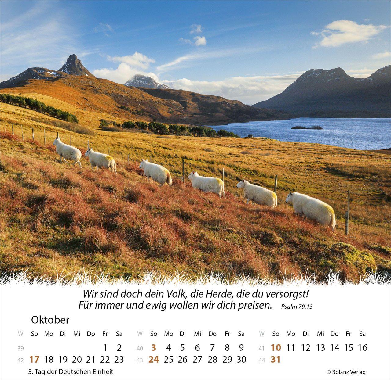 Ein Leben für die Schafe 2027 – Tischkalender