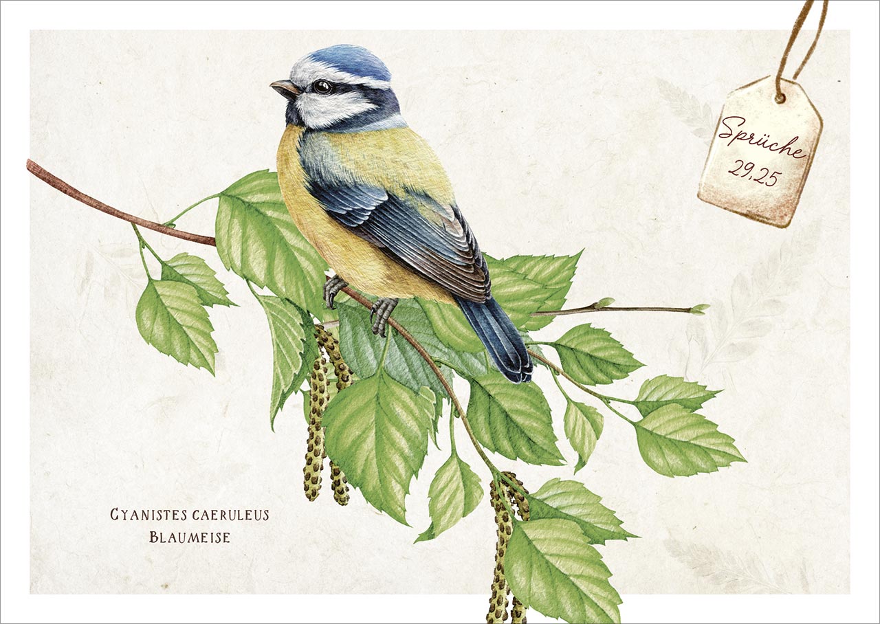 Postkartenbox Meisterwerke des Schöpfers - Freude im Garten -  (15 x 11 cm)