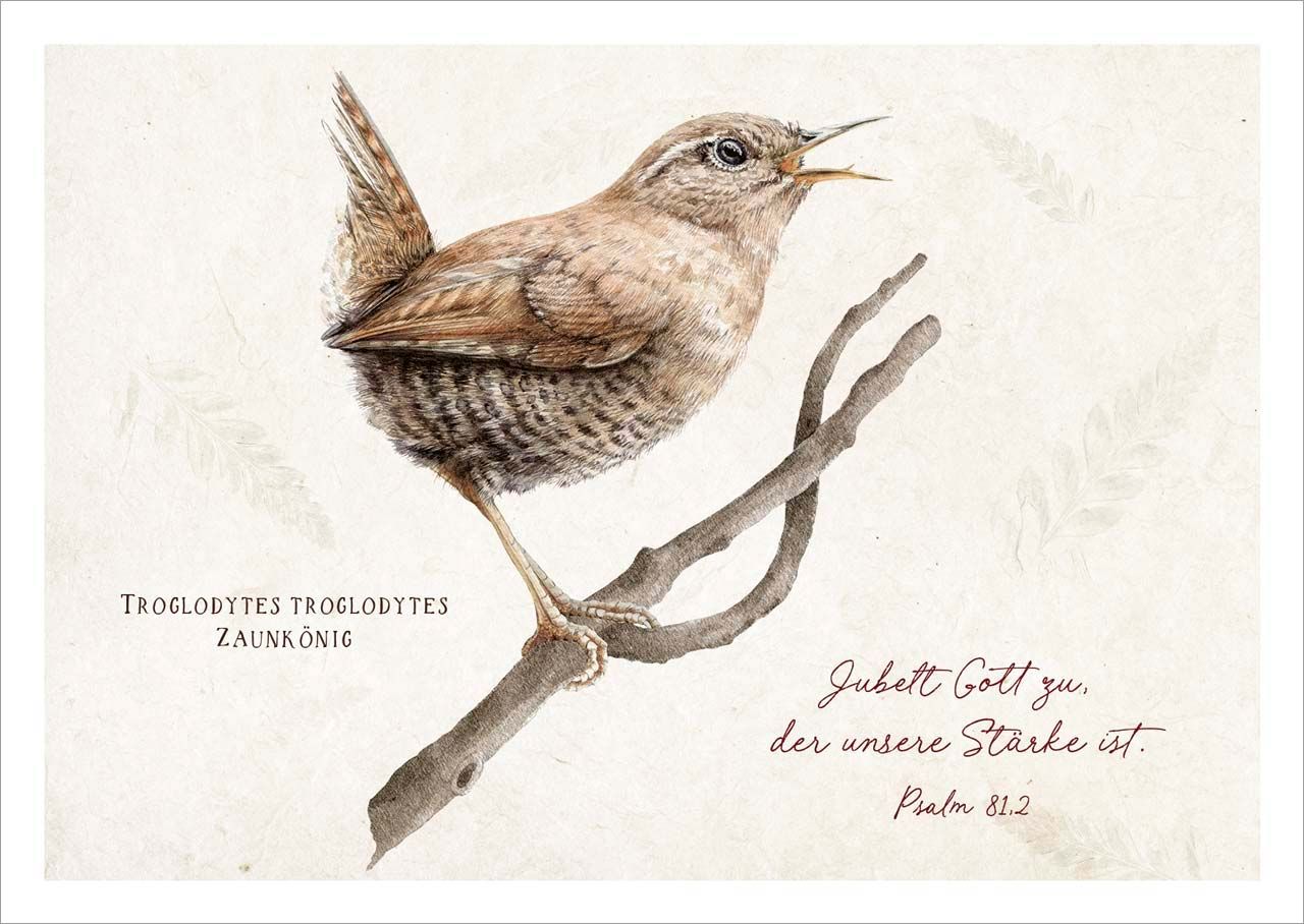 Postkarte Jubelt Gott zu - Zaunkönig -  (14,8 x 10,5 cm)