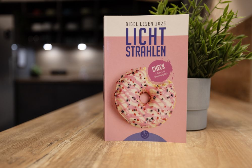 Lichtstrahlen 2025 - Check Up 1. Thess 5,21 Jahreslosung 2025 -  Anlass: Jahreslosung Autor: Deutscher Jugendverband e.V. (Hrsg.) - Paperback 1. Auflage (12,5 x 19 x 2,3 cm)
