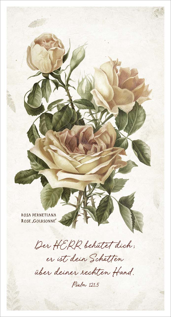 Metallschild Rose 'Goldsonne' -  (13 x 24 cm)