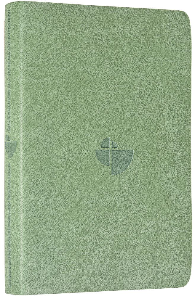 Schlachter 2000 Bibel - Taschenausgabe, oliv, grauer Farbschnitt -  - Softcover 11. Auflage (13,8 x 19,9 x 2,9 cm)