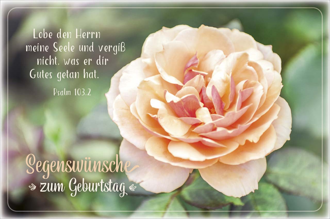 Faltkarte Lobe den HERRN- Rose Geburtstag -  Anlass: Geburtstag (17 x 11,5 cm)