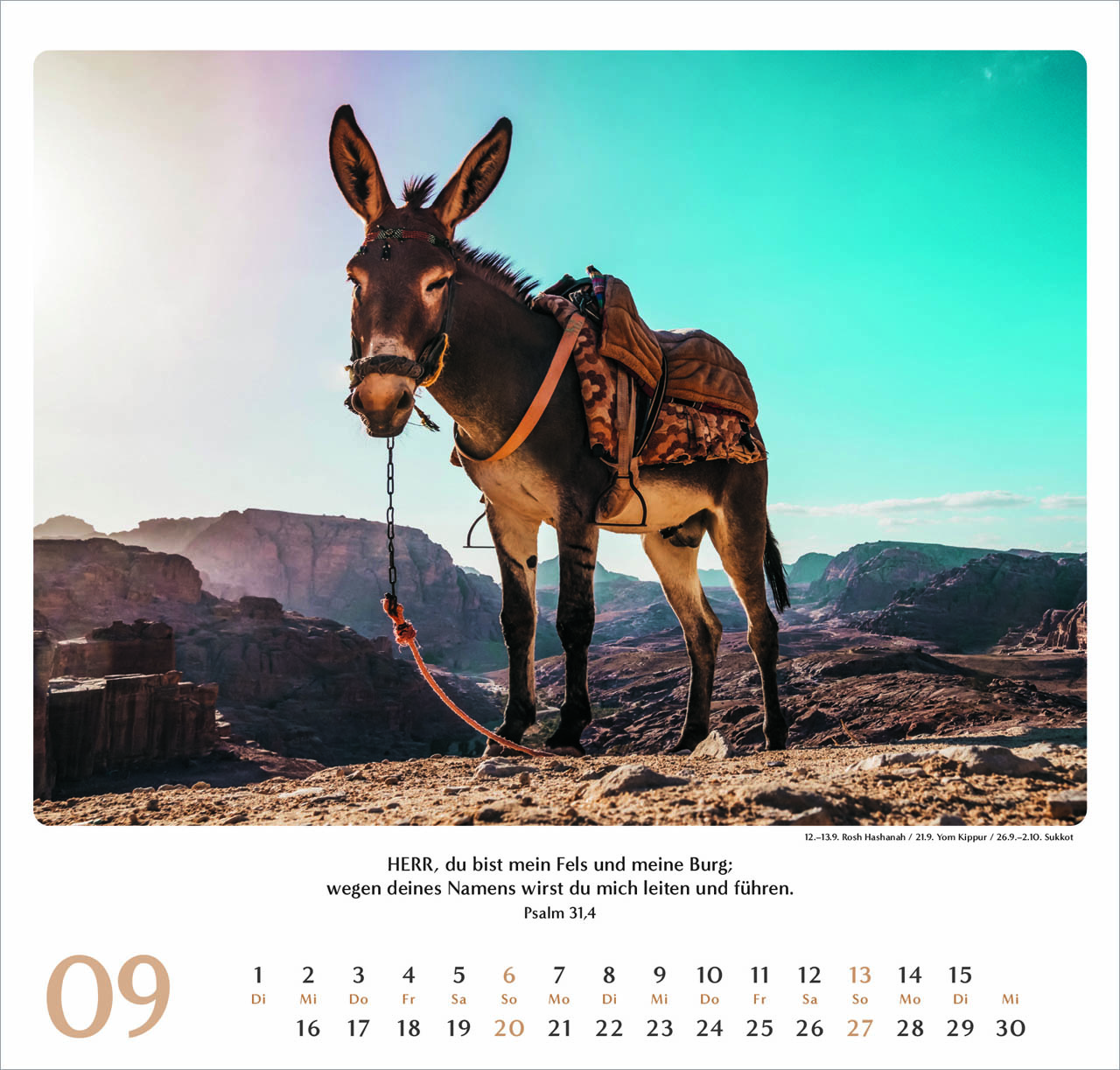 Geliebtes Israel Wandkalender 2026