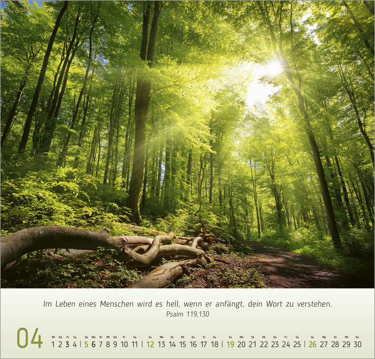 Licht Impressionen Wandkalender 2026
