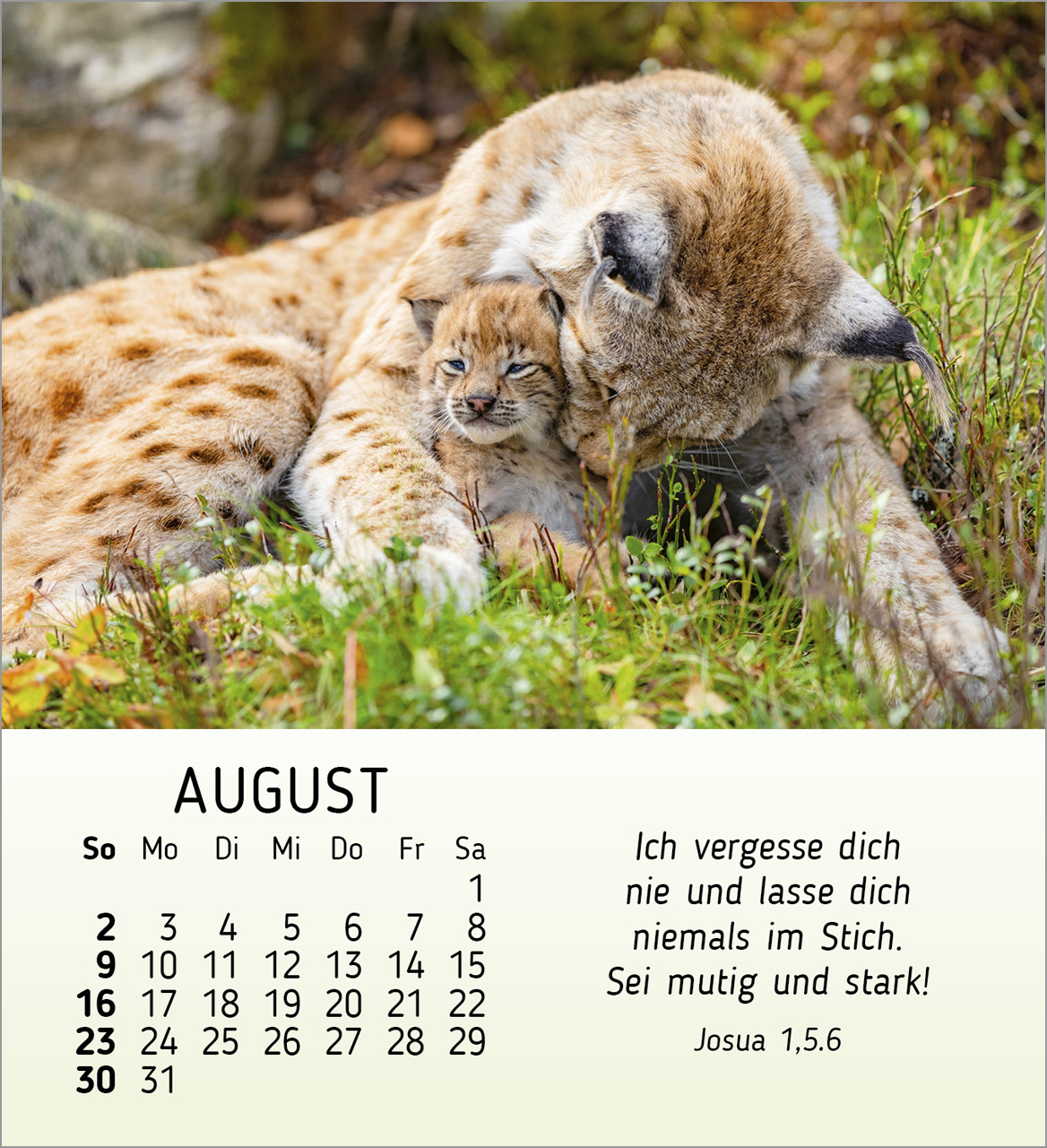 Meine kleinen Freunde 2026 - Tischkalender
