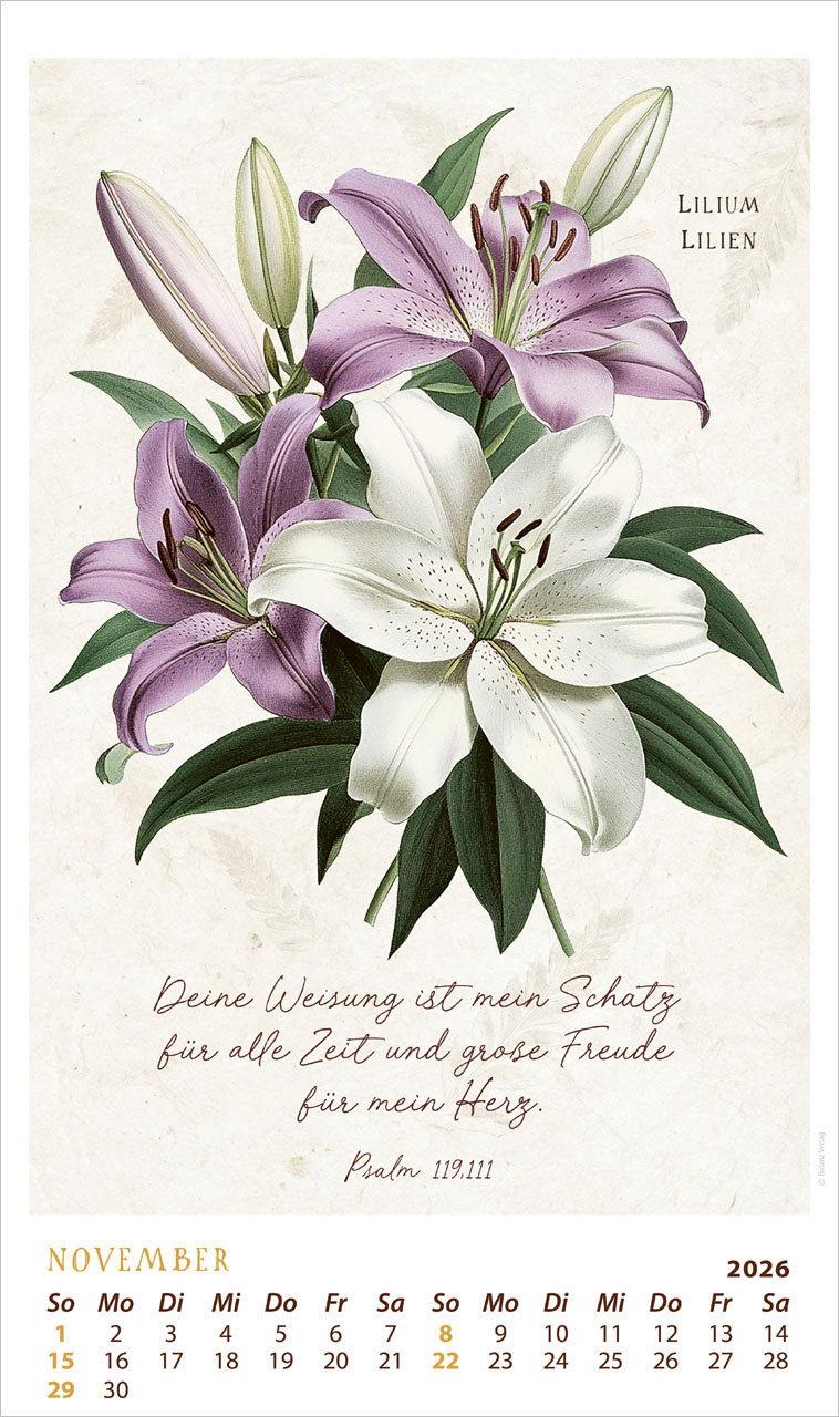 Schmuck Stücke des Schöpfers 2026 - Posterkalender