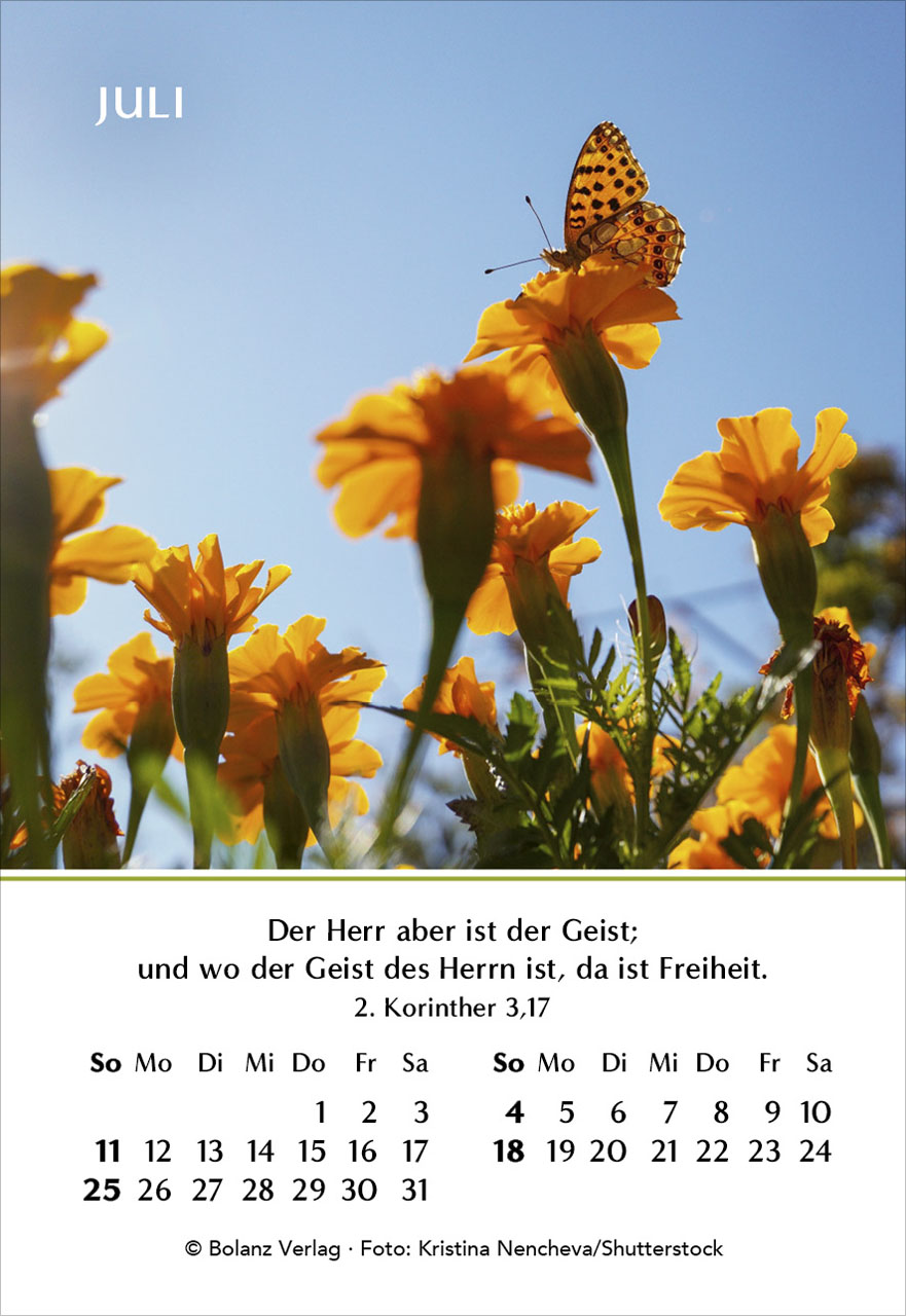 Ein Jahr der Hoffnung 2027 – Minikalender