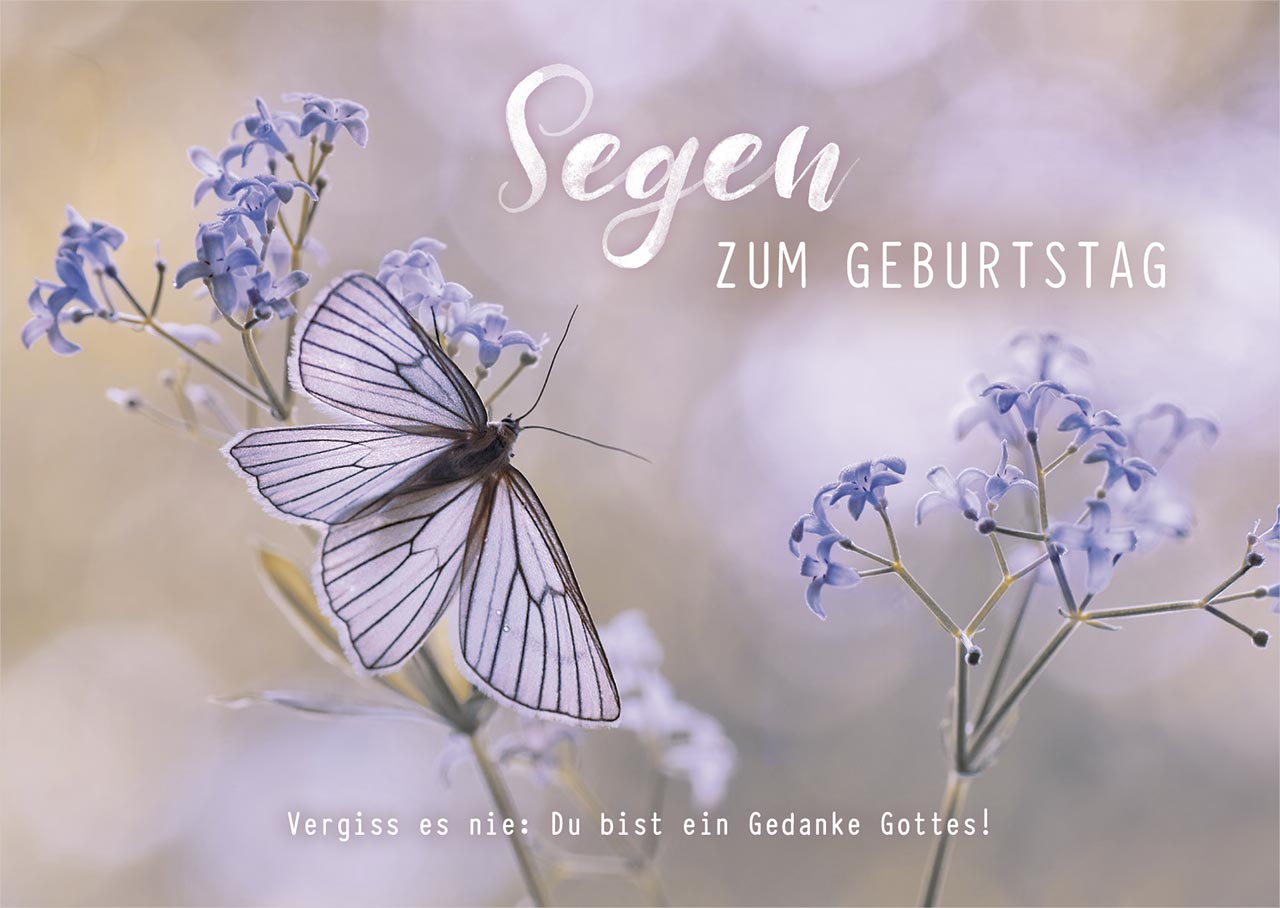 Postkarte Schmetterling -  Anlass: Geburtstag (14,8 x 10,5 cm)