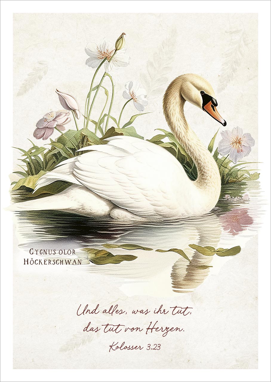 Postkarte Schwan -  (10,5 x 14,8 cm)