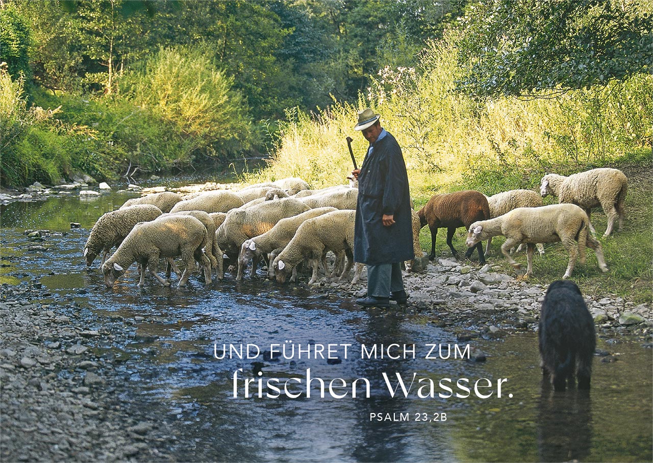 Postkartenbox Psalm 23 - Der HERR ist mein Hirte -  (15 x 11 cm)