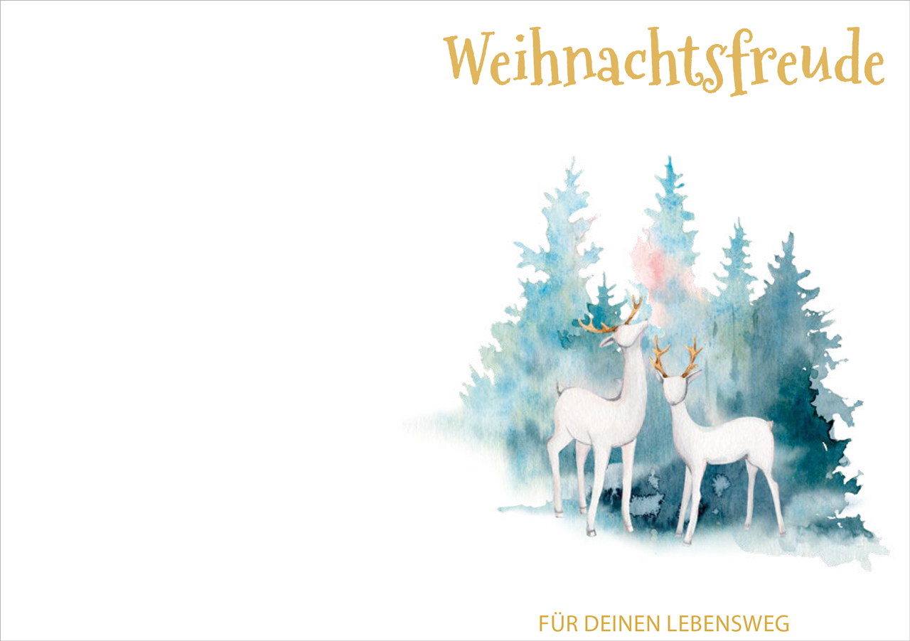 Grußheft Weihnachtsfreude -  Anlass: Weihnachten Autor: Seraphine Dietrich (10,5 x 14,8 cm)