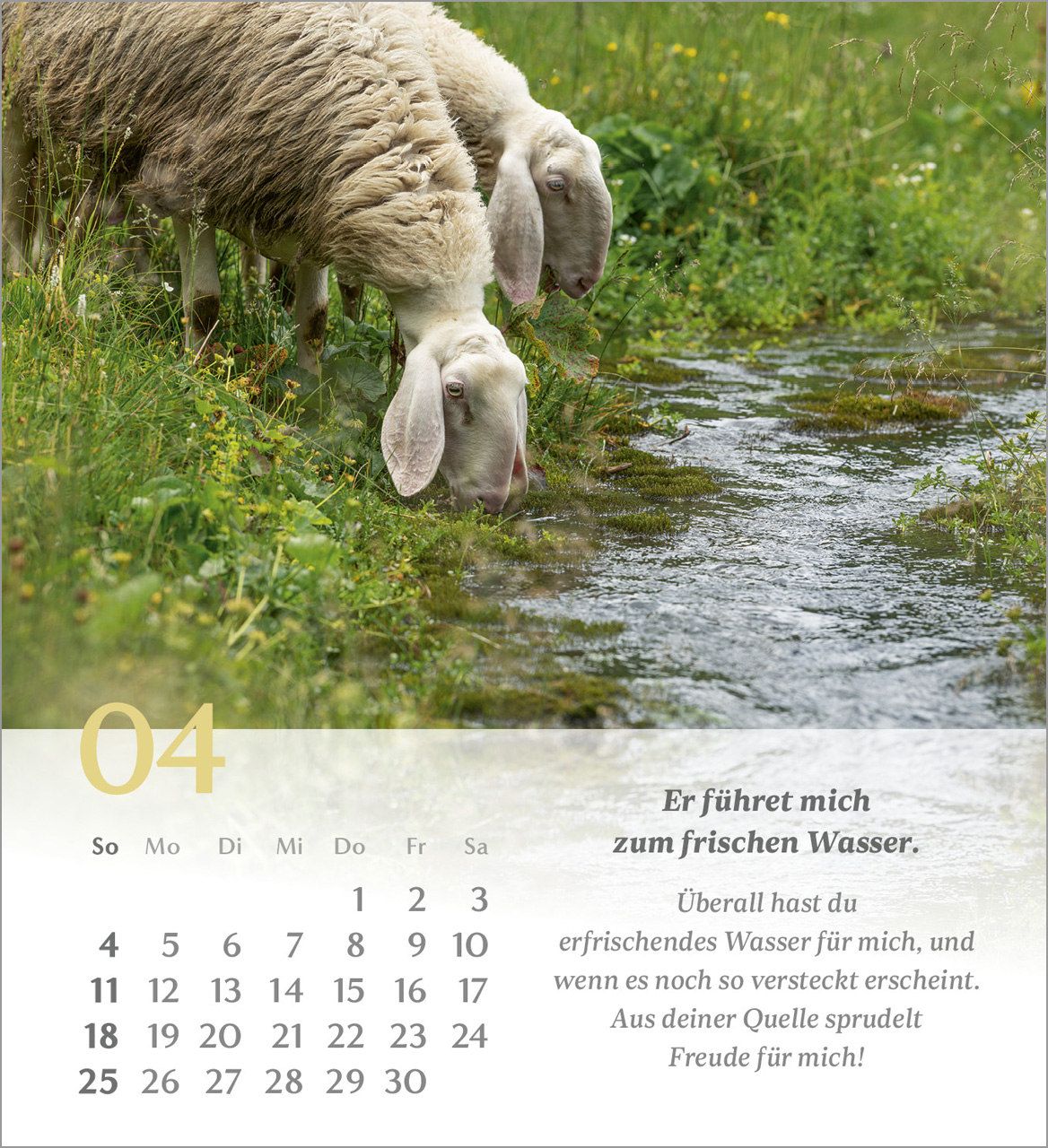 Psalm 23 – 2027 – Tischkalender