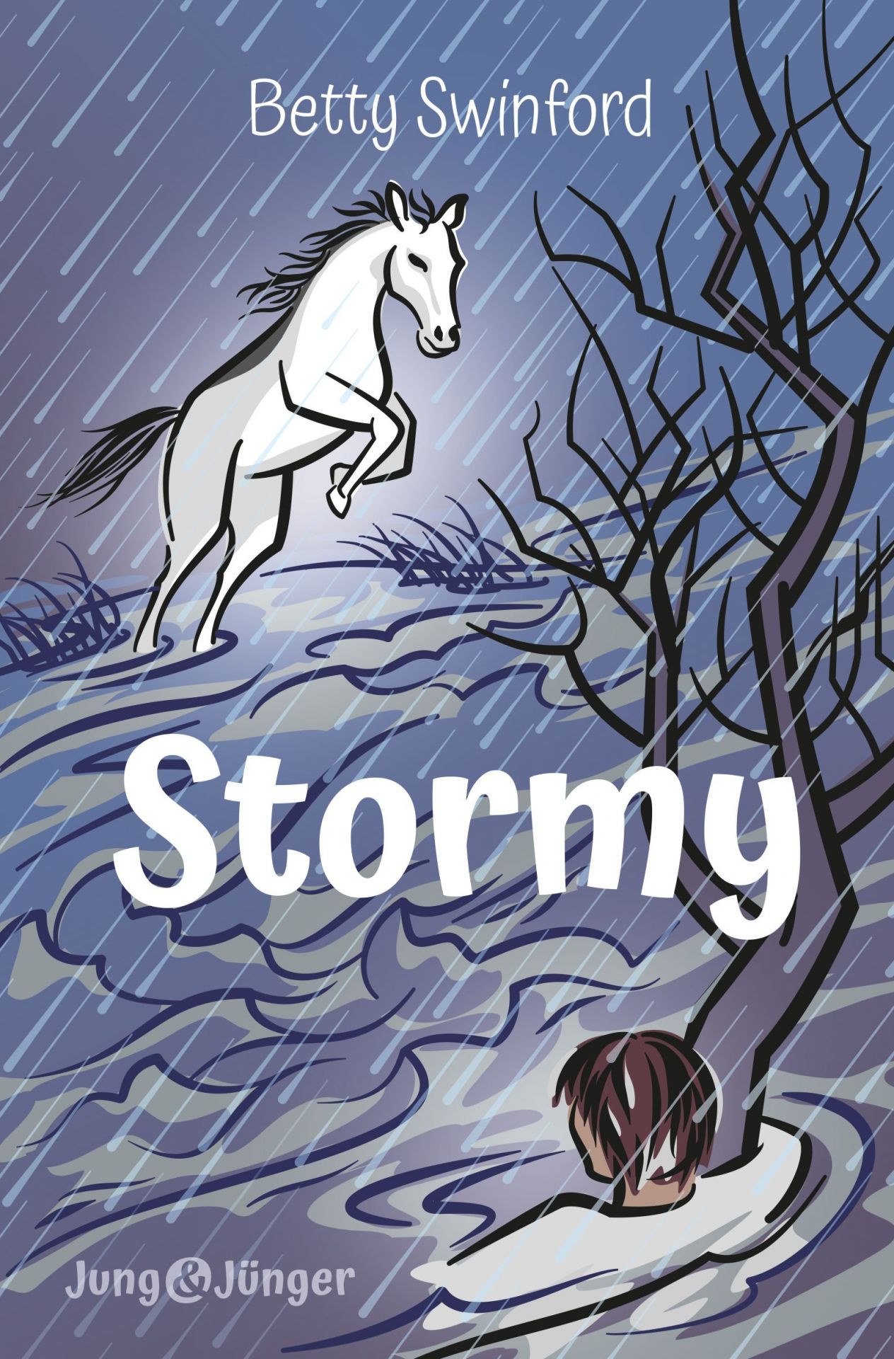 Stormy (7) -  Autor: Betty Swinford - Paperback 1. Auflage (13,5 x 20,5 x 1,4 cm)