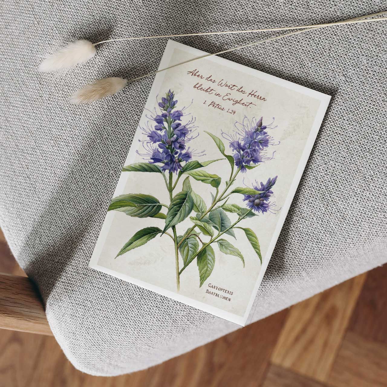 Postkarte Bartblumen -  (10,5 x 14,8 cm)