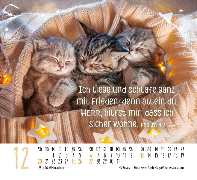 Begegnungen - Dich vergess ich nie 2026 - Minikalender