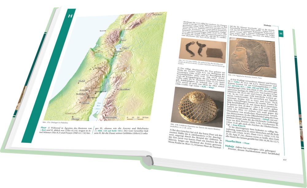 Lexikon zur Bibel - Personen, Geschichte, Archäologie, Geografie und Theologie der Bibel -  Autor: Fritz Rienecker (Hrsg.), Gerhard Maier (Hrsg.), Ulrich Wendel (Hrsg.), Alexander Schick (Hrsg.) - Hardcover 6. Auflage (17,3 x 24,3 x 5 cm)