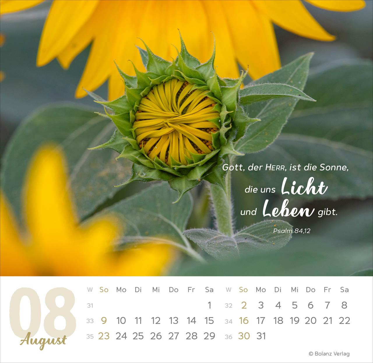 Meine Zeit 2026 - Tischkalender