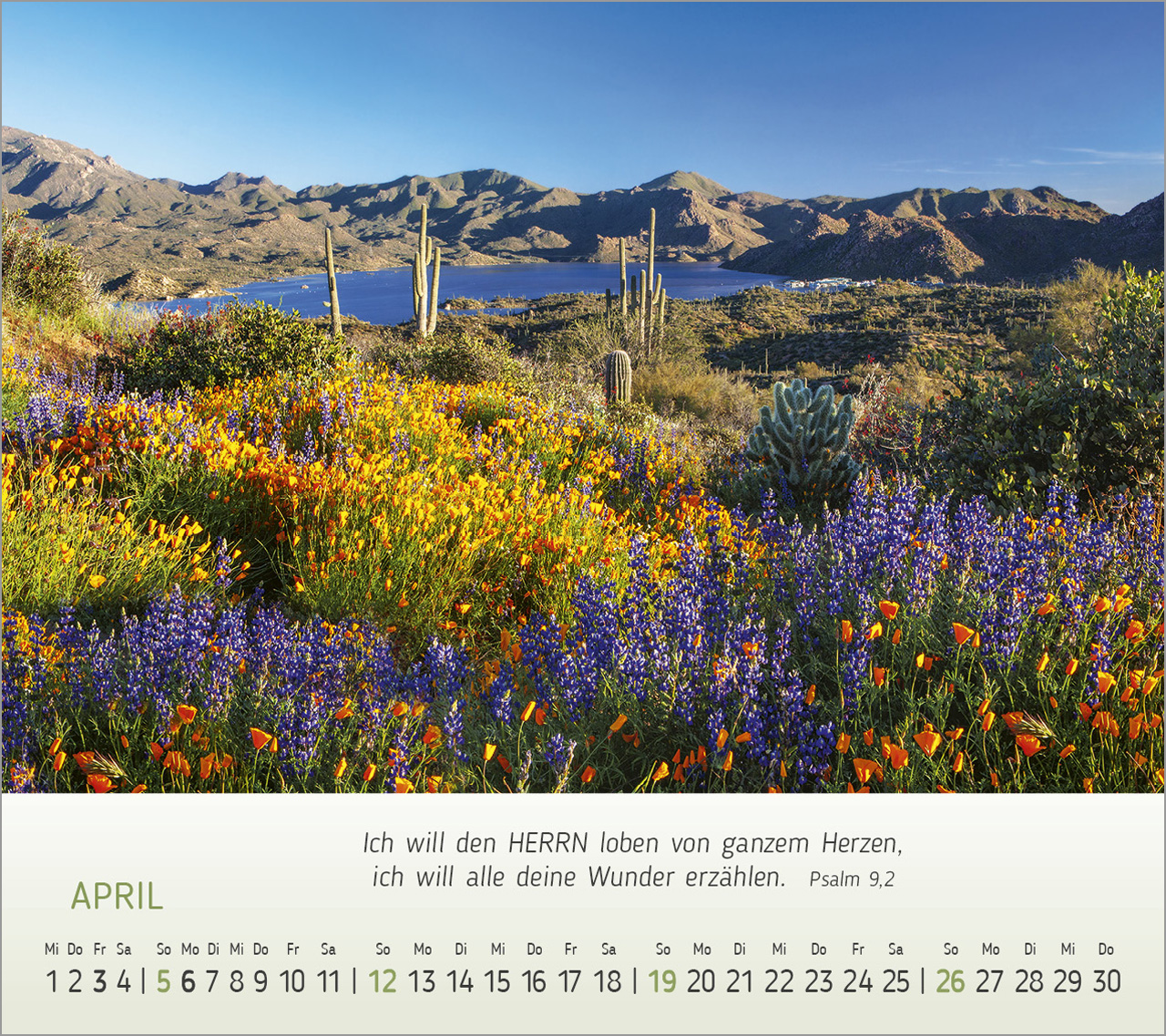 Foto-Träume - Tischkalender 2026