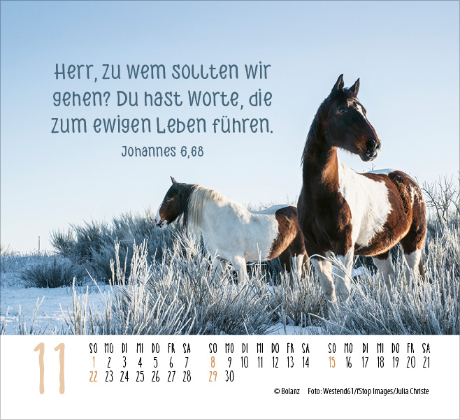Pferde - elegante Schönheiten - Minikalender 2026
