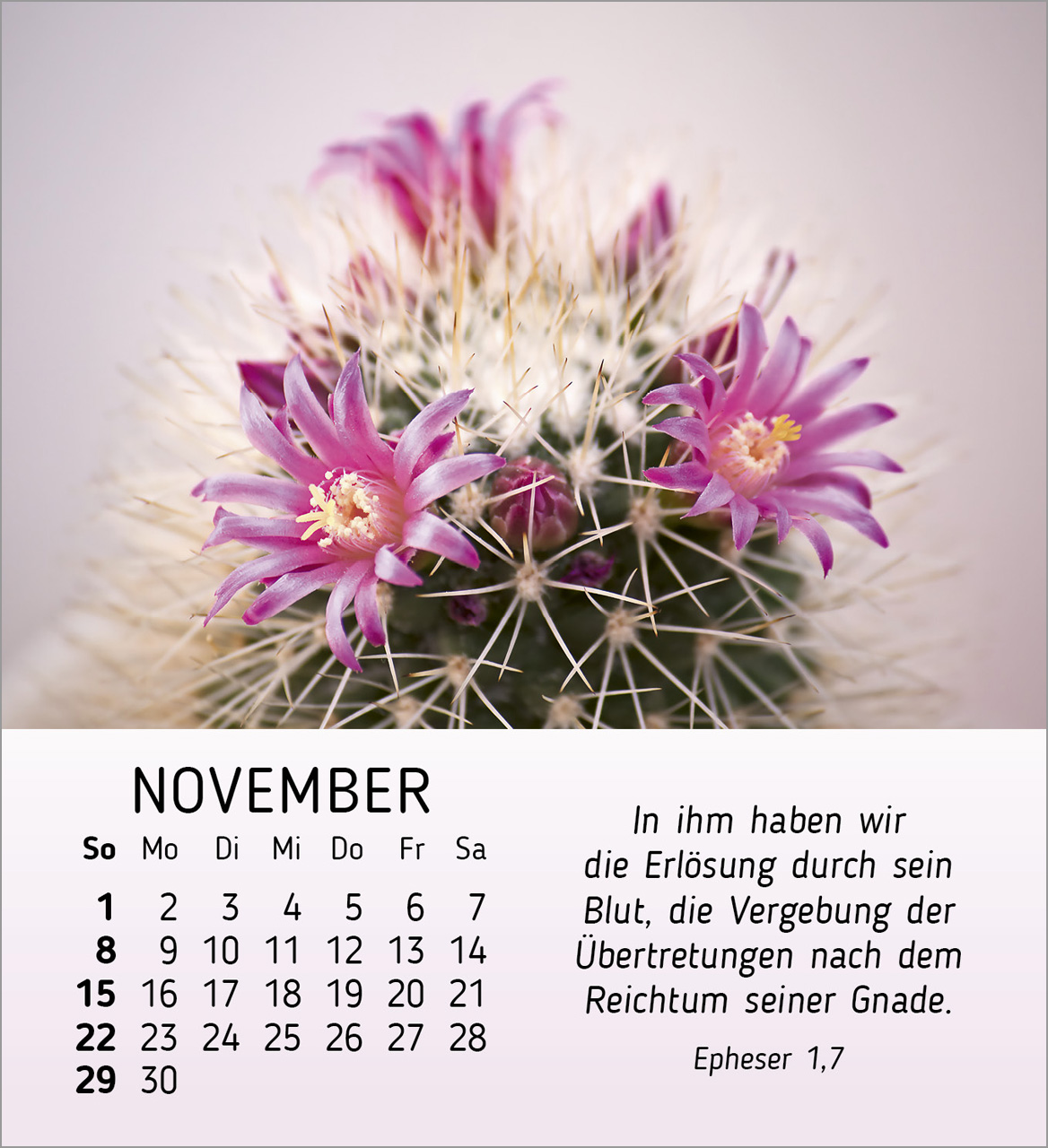 Stille Begegnungen Tischkalender 2026