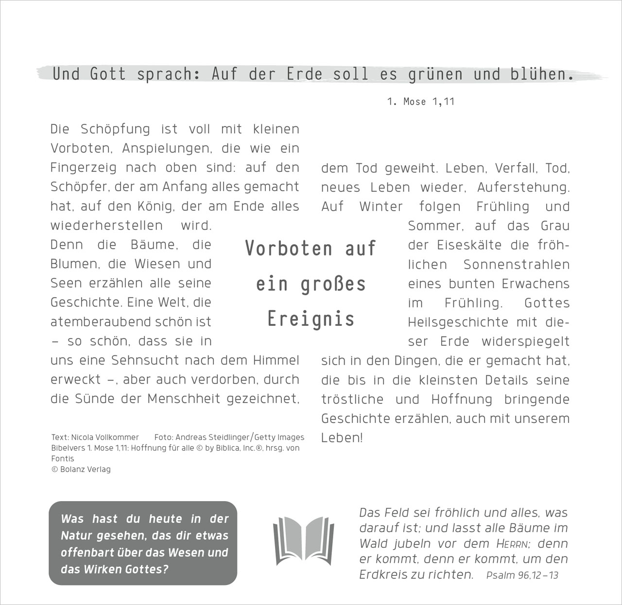 Weg – Licht – Leben 2027 – Tischkalender