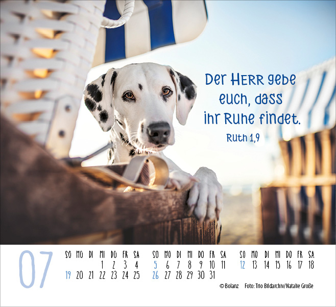 Hunde - treue Wegbegleiter  - Minikalender 2026