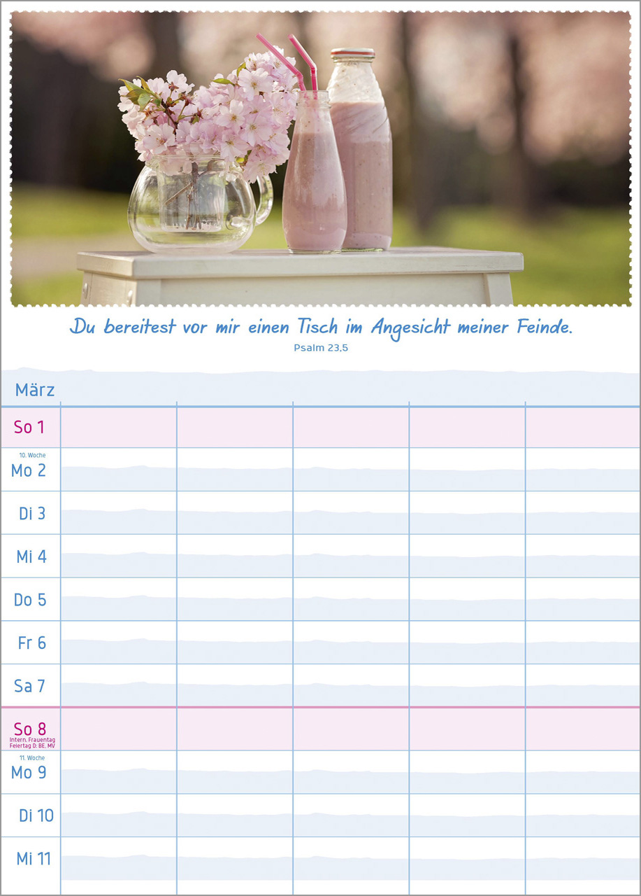 Multiplaner 2026 - Terminplaner