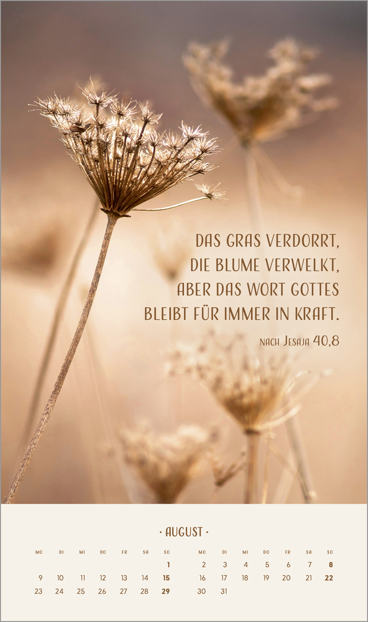 Zarte Blumengrüße 2027 – Posterkalender