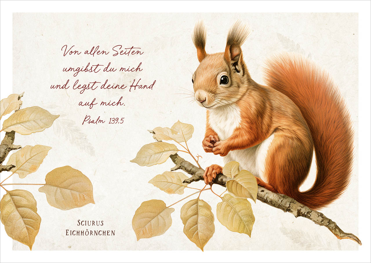 Postkarte niedliches Eichhörnchen -  (14,8 x 10,5 cm)
