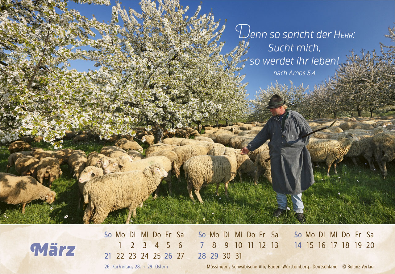 Der Gute Hirte 2027 – Panoramakalender