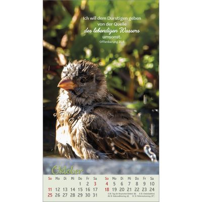 Beflügelt und geborgen 2026 -  (12 x 21 cm)