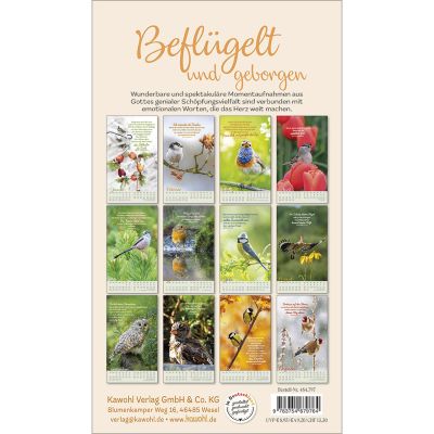 Beflügelt und geborgen 2026 -  (12 x 21 cm)