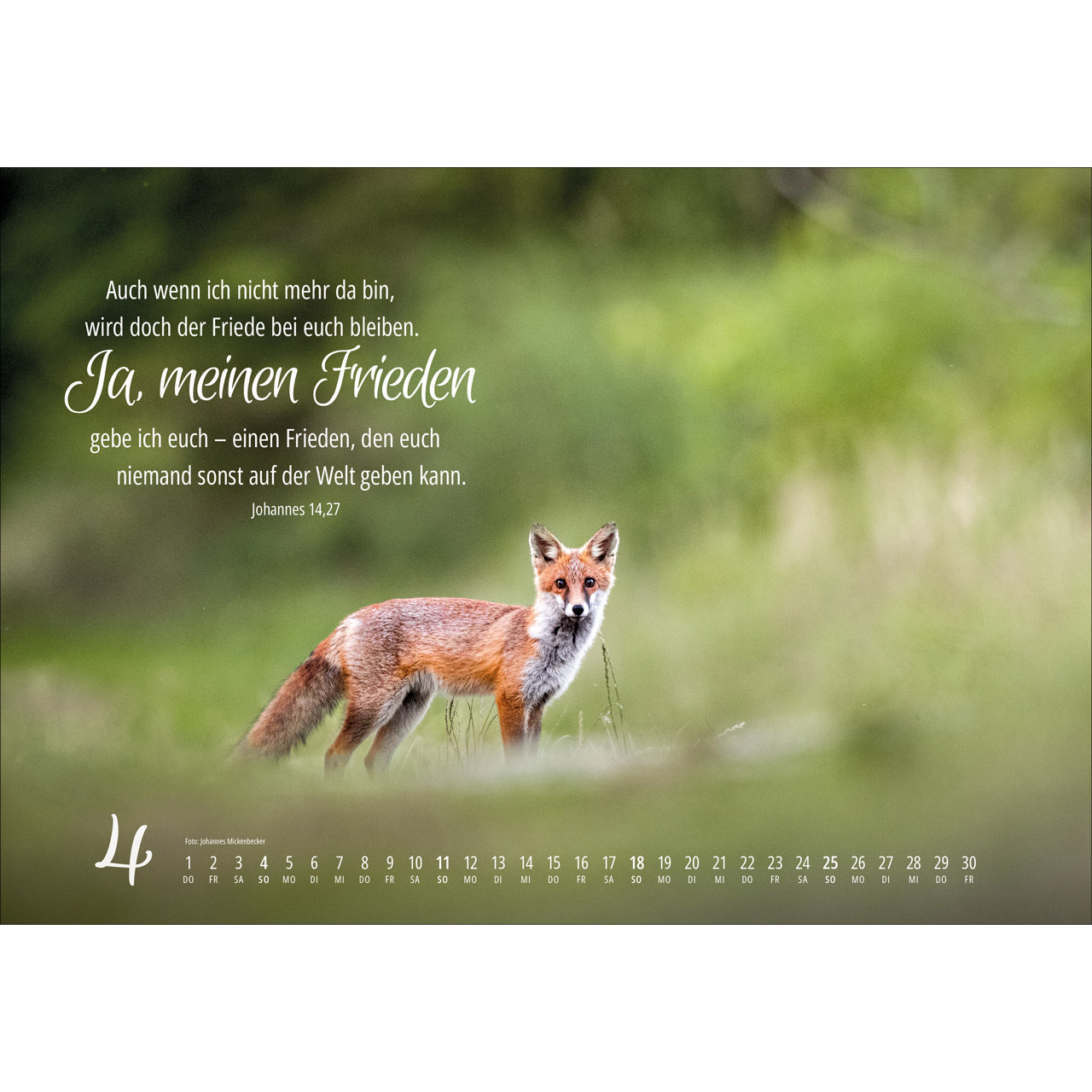 Real Wildlife 2027 -  (49 x 34 x 0,1 cm)