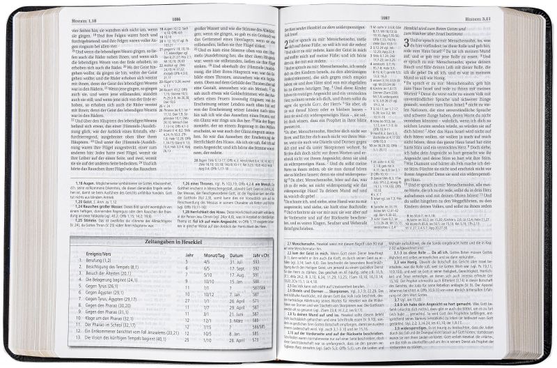 MacArthur Studienbibel – Schlachter 2000 (Softcover, schwarz, Goldschnitt) -  Autor: John F. MacArthur - Softcover - Leder 12. Auflage (17,7 x 25 x 4,4 cm)