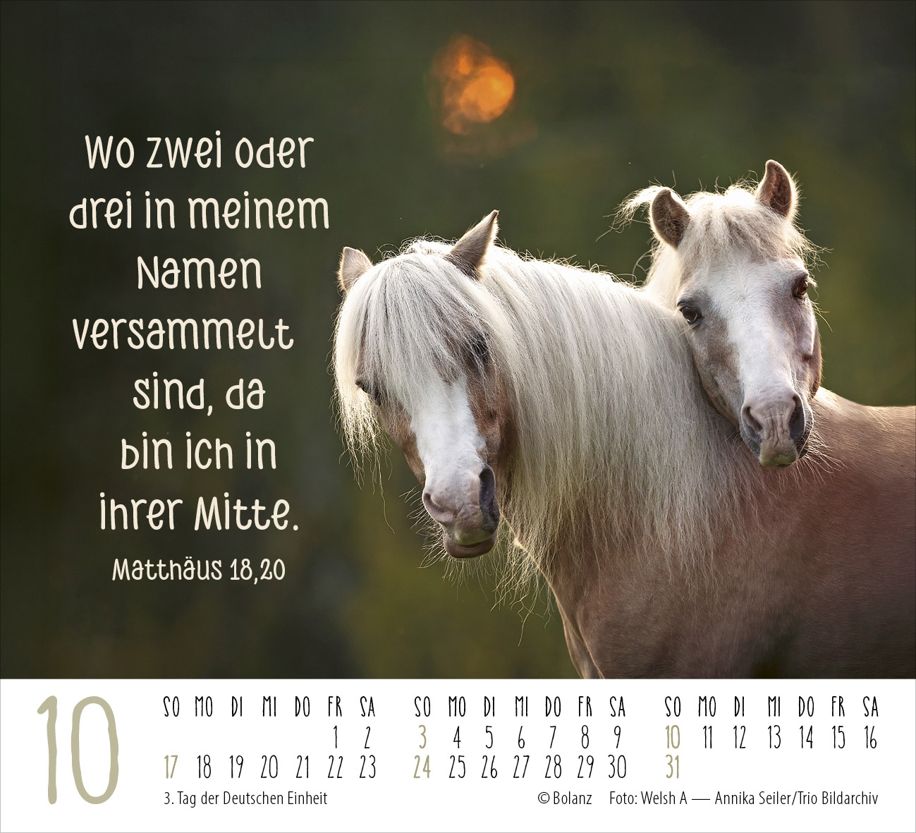 Pferde – elegante Schönheiten 2027 – Minikalender