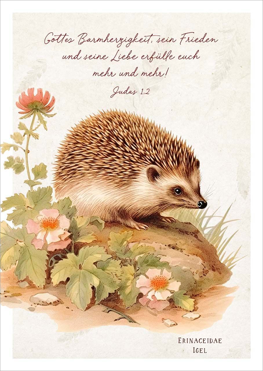 Postkarte Igel -  (14,8 x 10,5 cm)