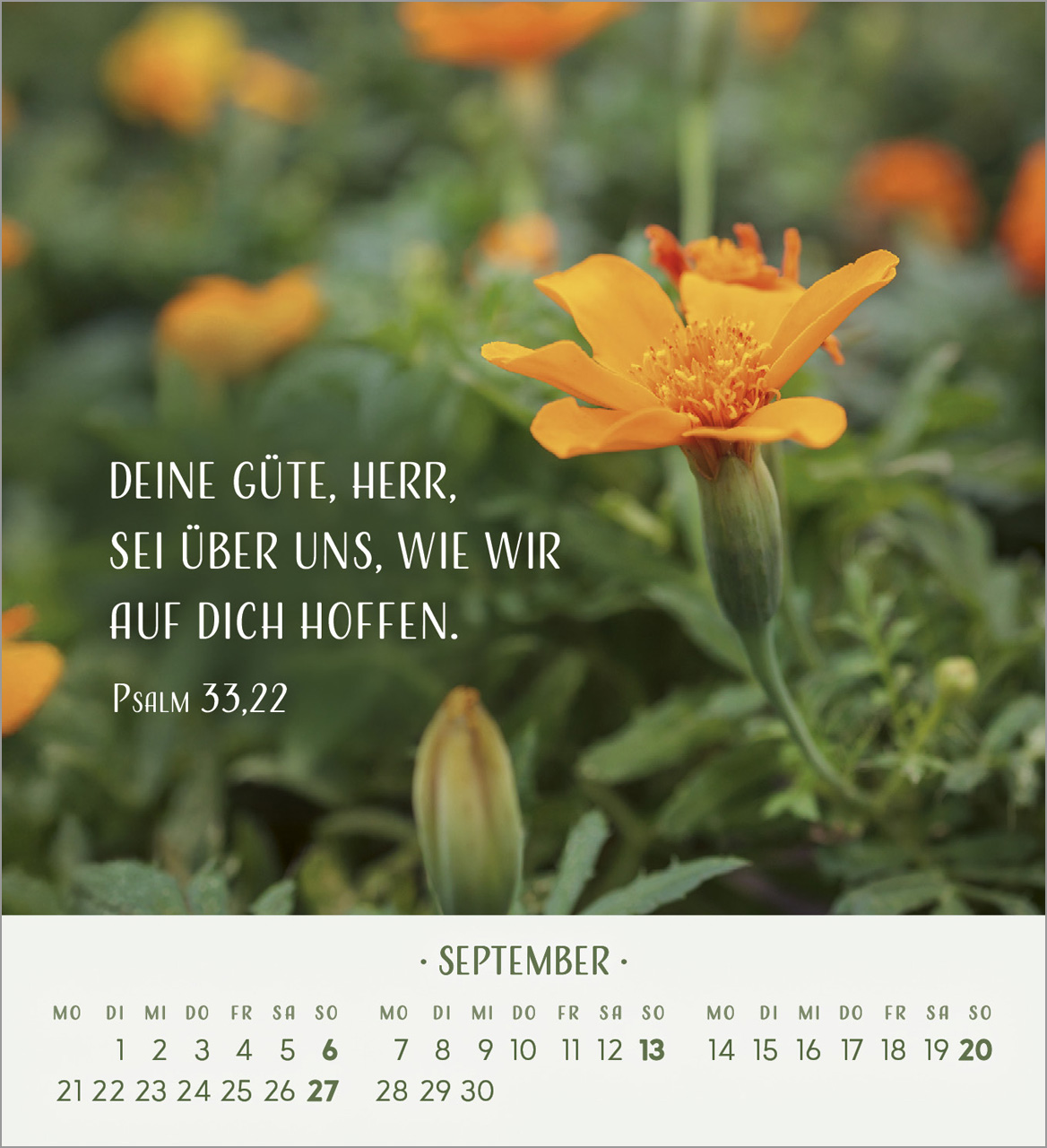 Zarte Blumengrüße Tischkalender 2026