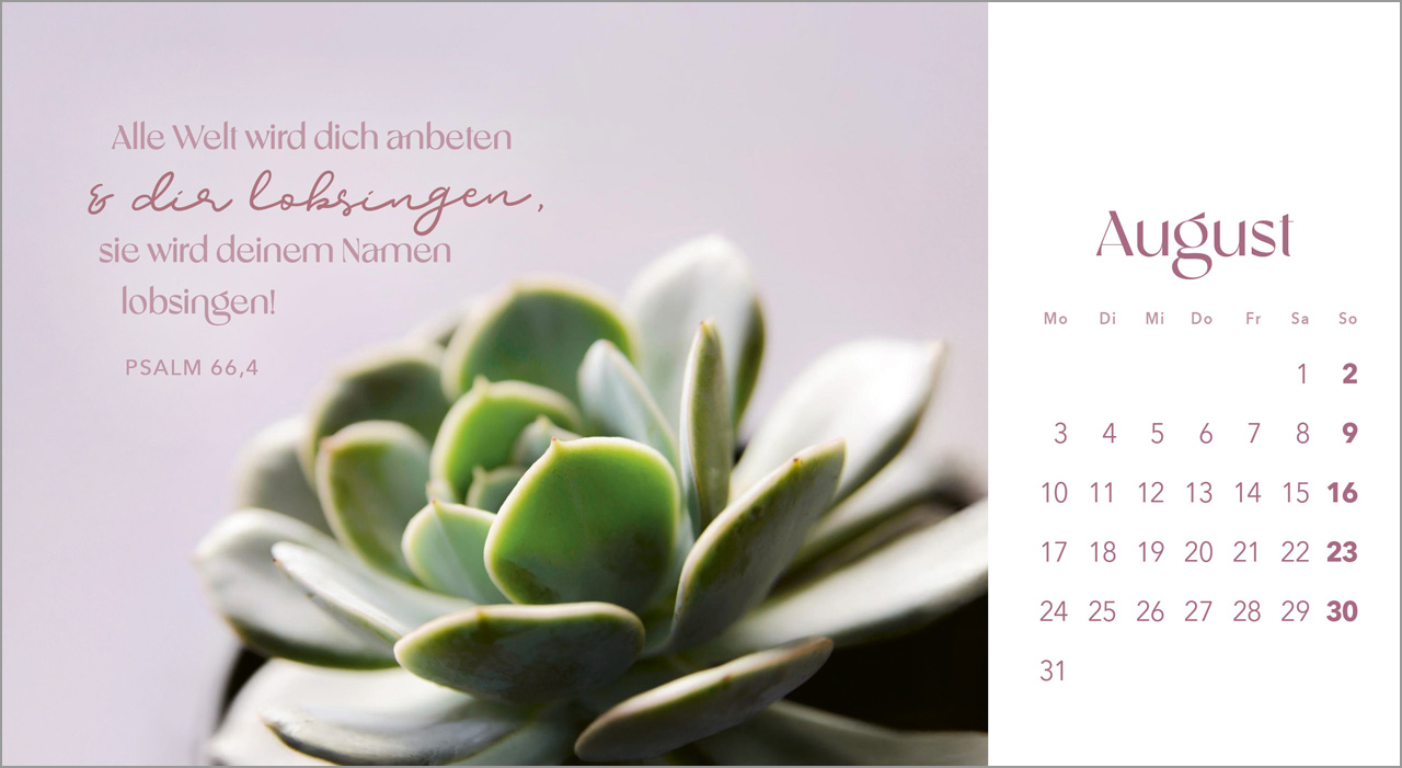 Augenblicke der Anbetung 2026