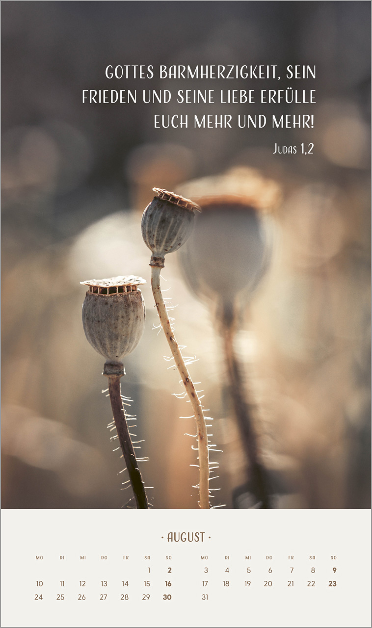 Zarte Blumengrüße Wandkalender 2026