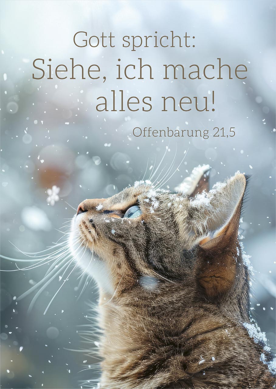 Postkarte Jahreslosung Katze -  Anlass: Jahreslosung (10,5 x 14,8 cm)