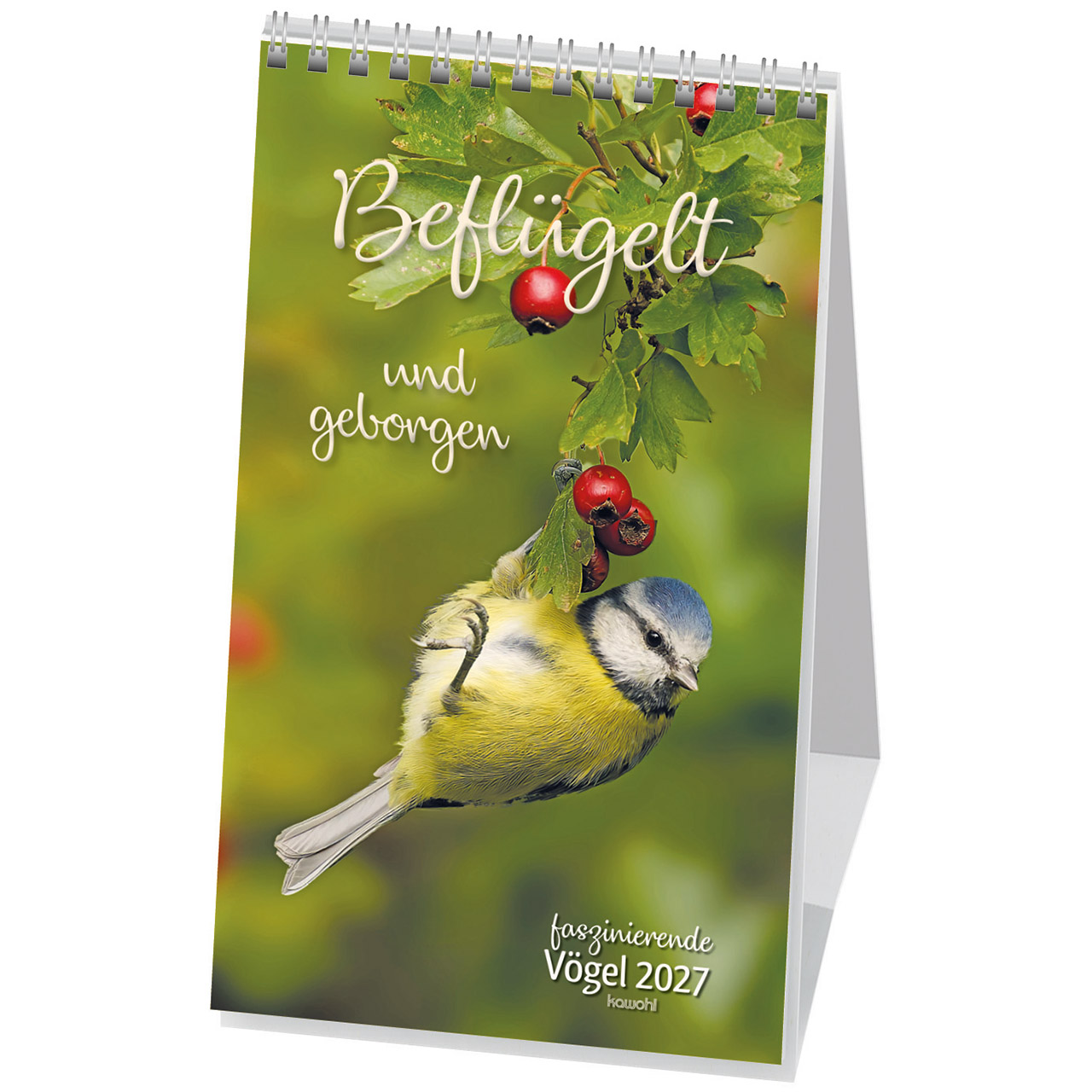 Beflügelt und geborgen 2027 -  (12 x 21 x 0,1 cm)
