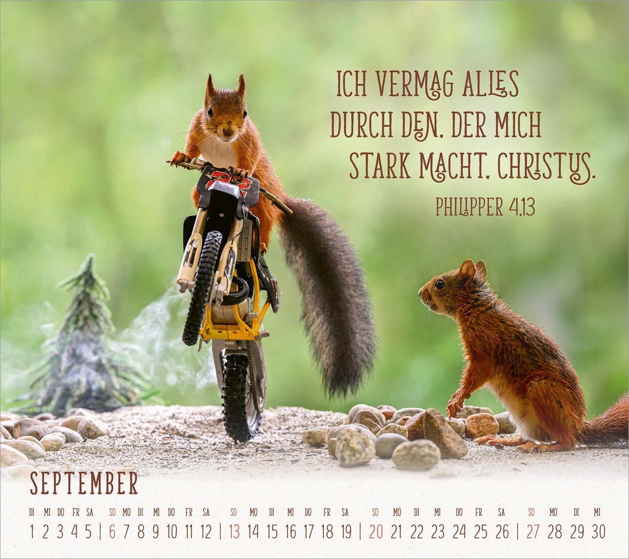 Du sorgst für mich 2026