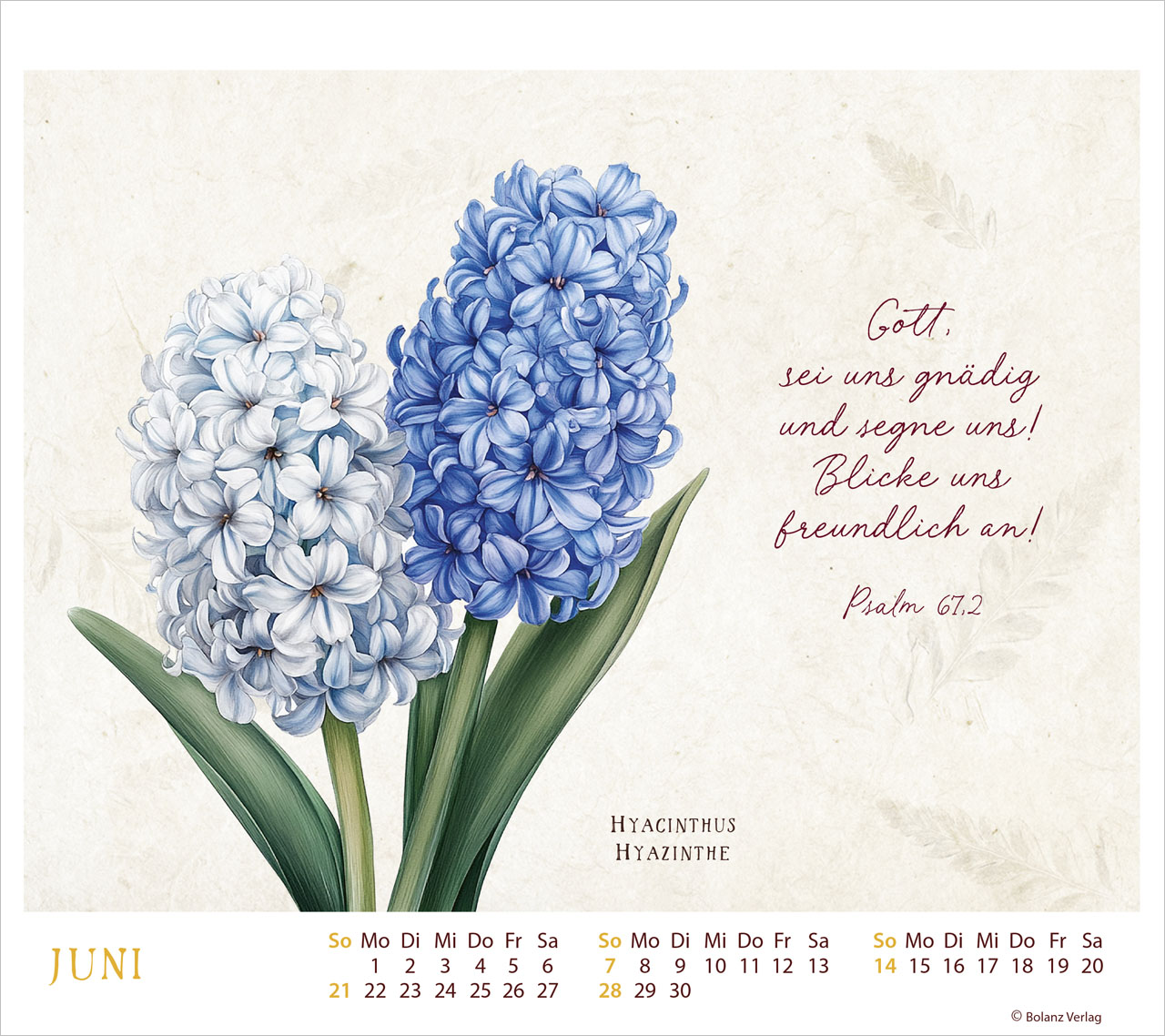 MeisterWerke des Schöpfers 2026 - Tischkalender