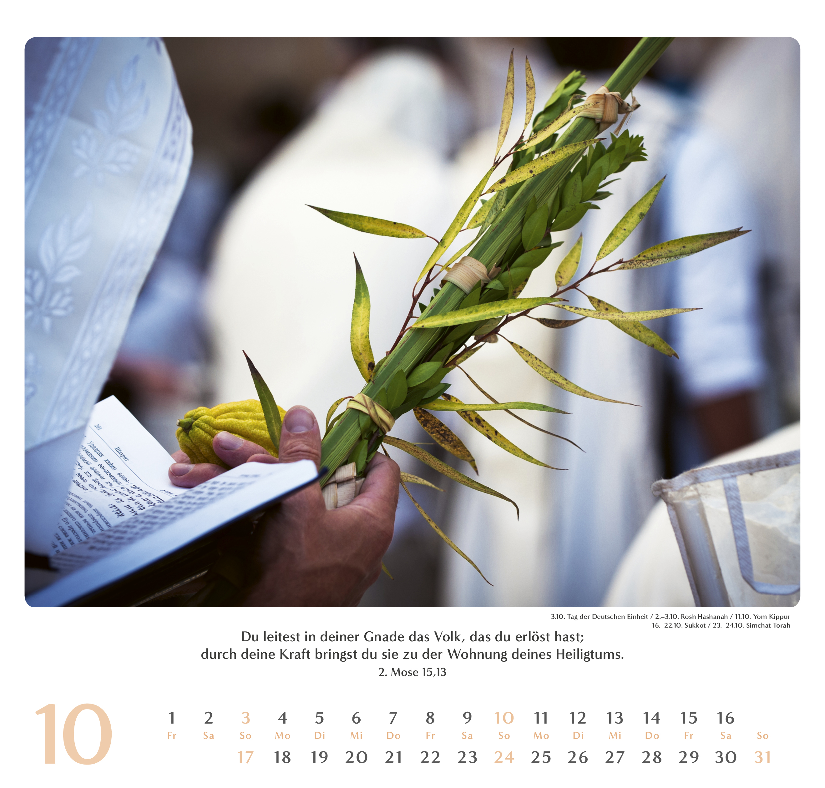 Geliebtes Israel 2027 – Wandkalender