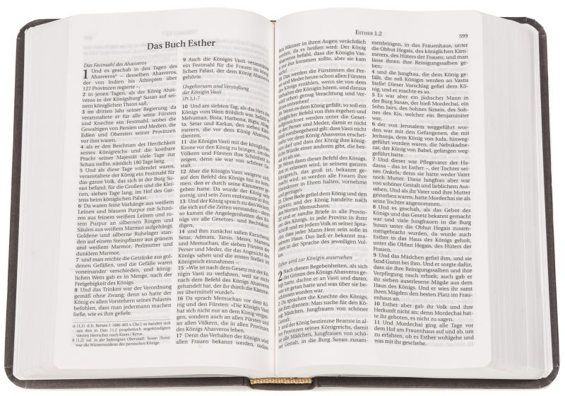 Schlachter 2000 Bibel – Miniaturausgabe (Hardcover, illustrierter Einband, Antikleder-Optik) -  - Hardcover 3. Auflage (9,9 x 14,8 x 3,2 cm)