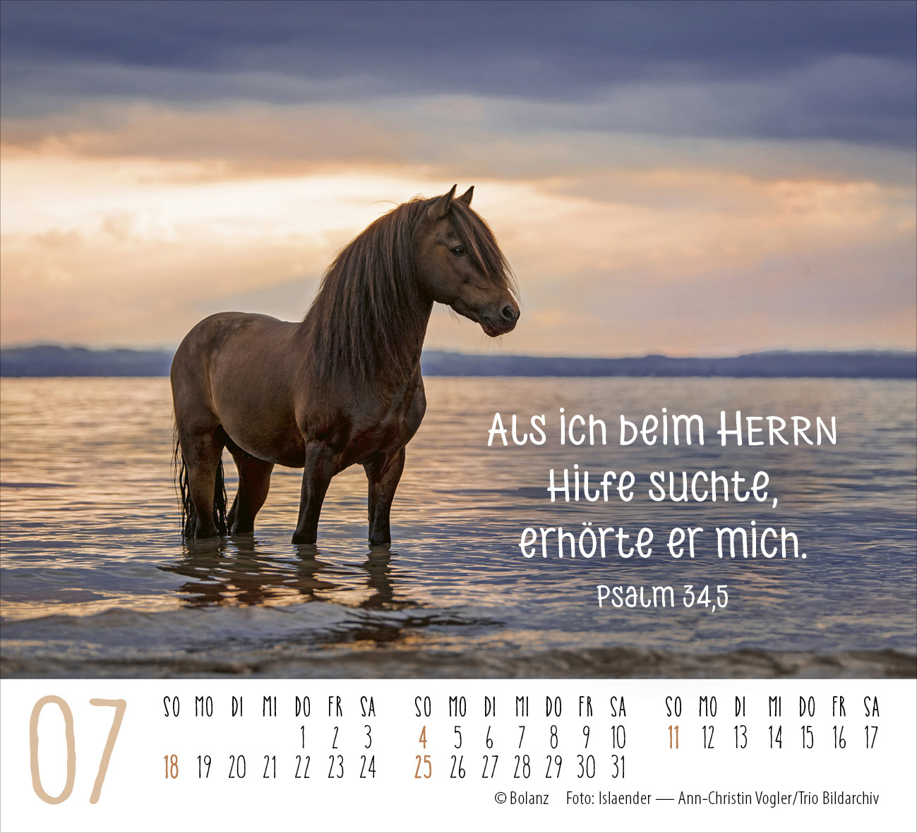 Pferde – elegante Schönheiten 2027 – Minikalender