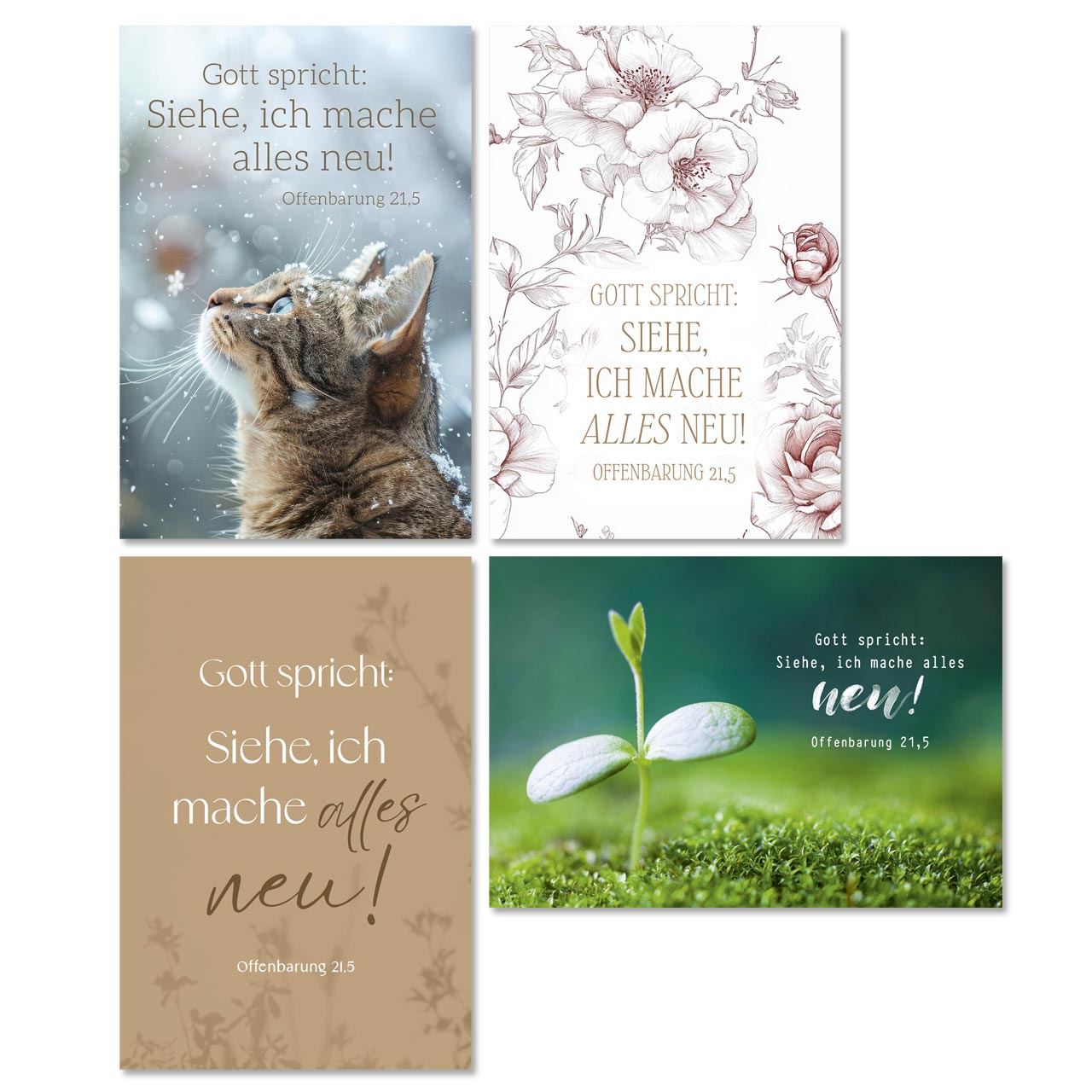 Minikarten Jahreslosung -  Anlass: Jahreslosung (7,2 x 10,5 cm)