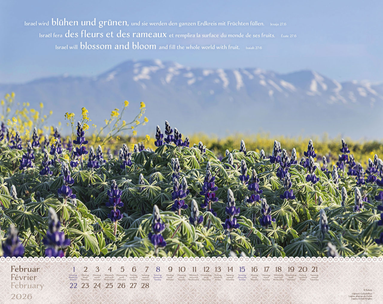 Israel Shalom 2026 - Wandkalender